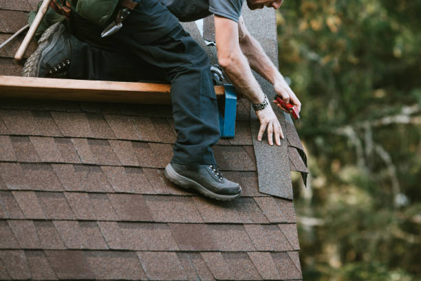 Best Roof Gutter Cleaning  in Ontonagon, MI